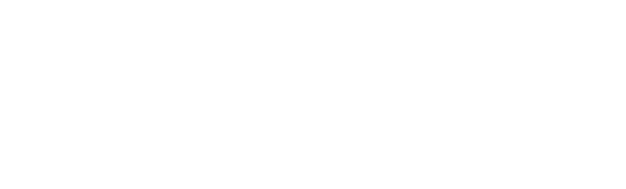 Unlocking Tanzania Safaris